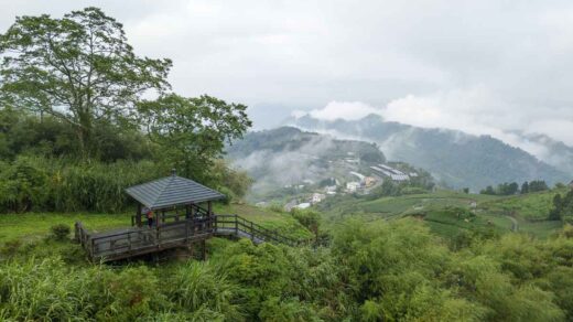 Sunrise view from Eryanping Trail viewing platform showing tea plantations and mountain landscape in Chiayi, Taiwan