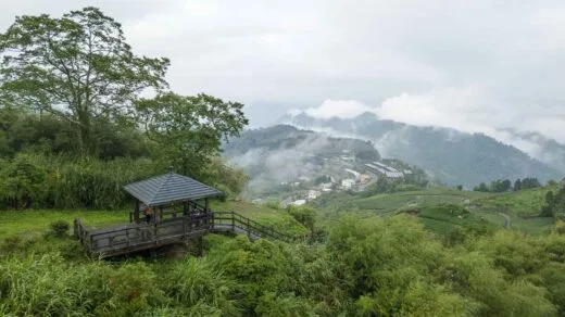 Sunrise view from Eryanping Trail viewing platform showing tea plantations and mountain landscape in Chiayi, Taiwan