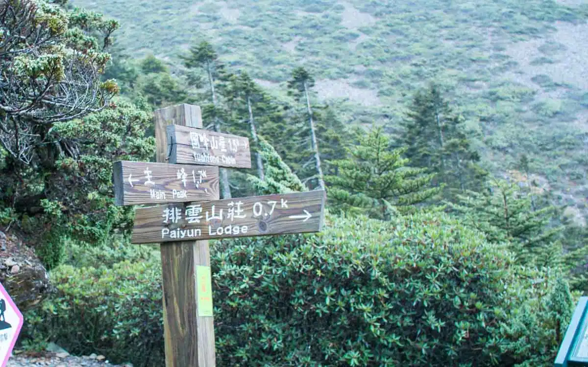 Wooden trail signpost on Mount Yushan showing directions to Main Peak 1.7km and Paiyun Lodge 0.7km, surrounded by alpine shrubs and conifer forest