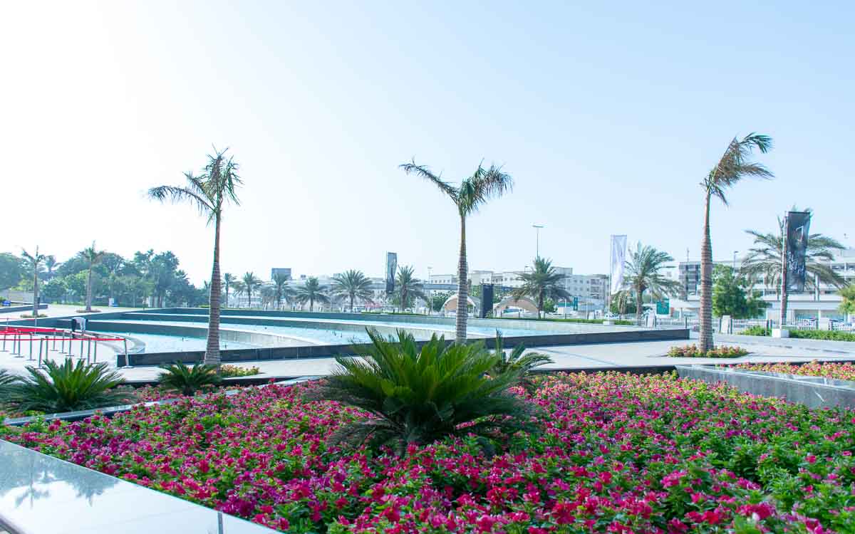 garden at the Dubai Frame
