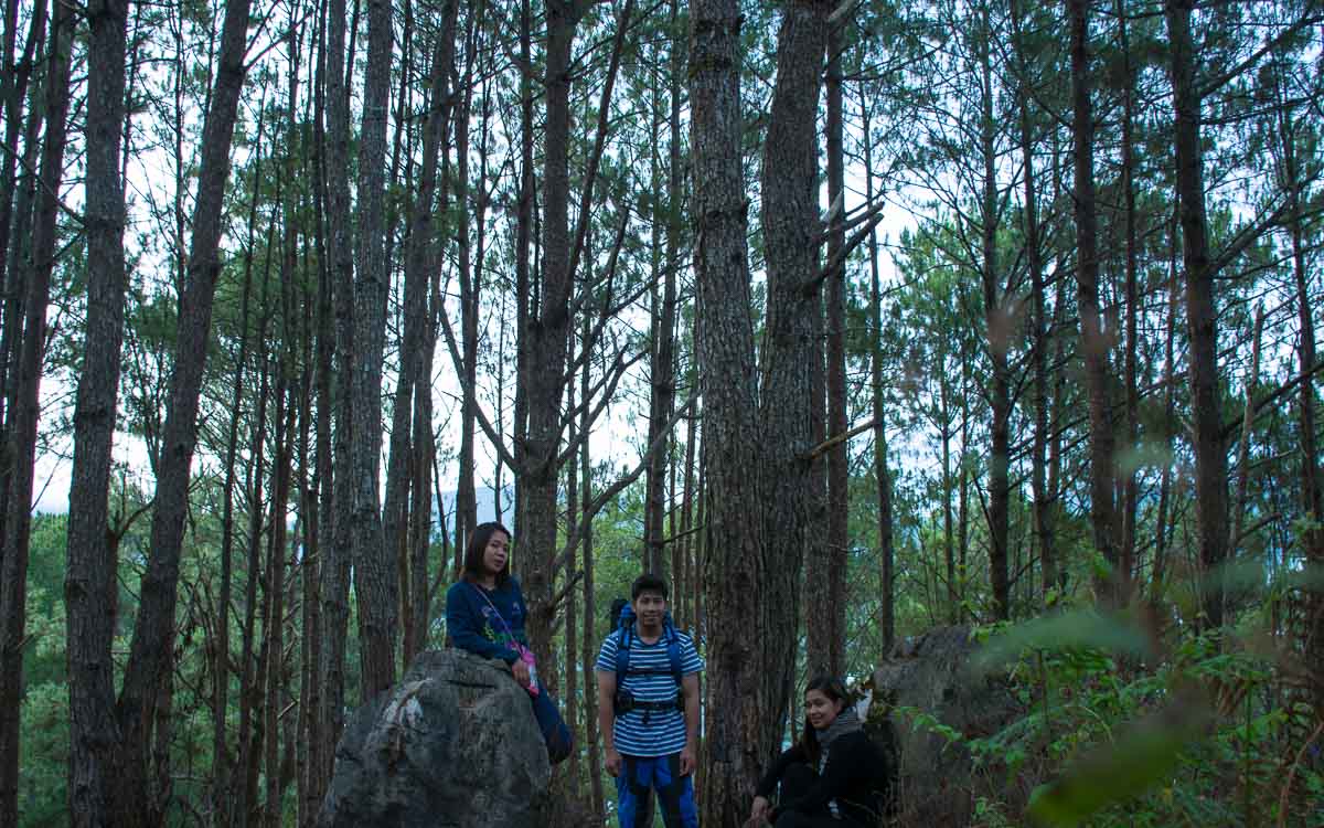 Hanah, Nathaniel, and Alex at pine tree trail