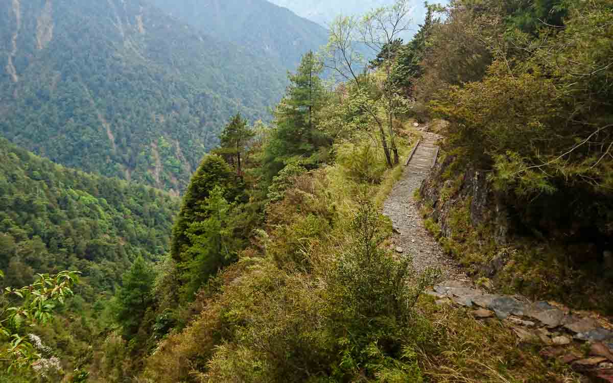 Views of the trail in Mount Yushan