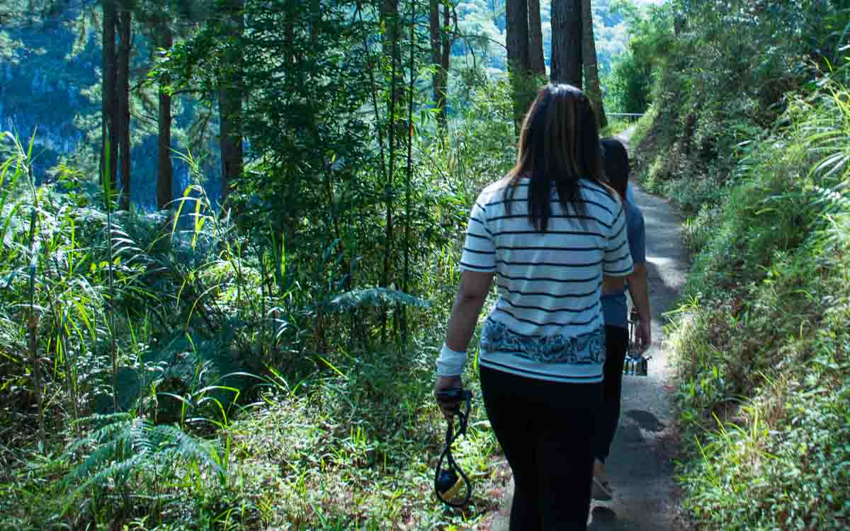 Path leading to Lumiang Cave