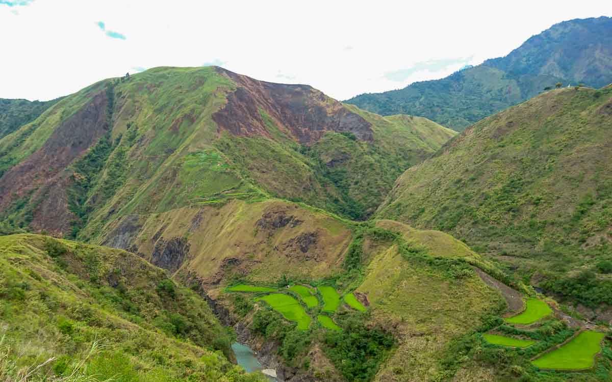 View of rice terraces along the road