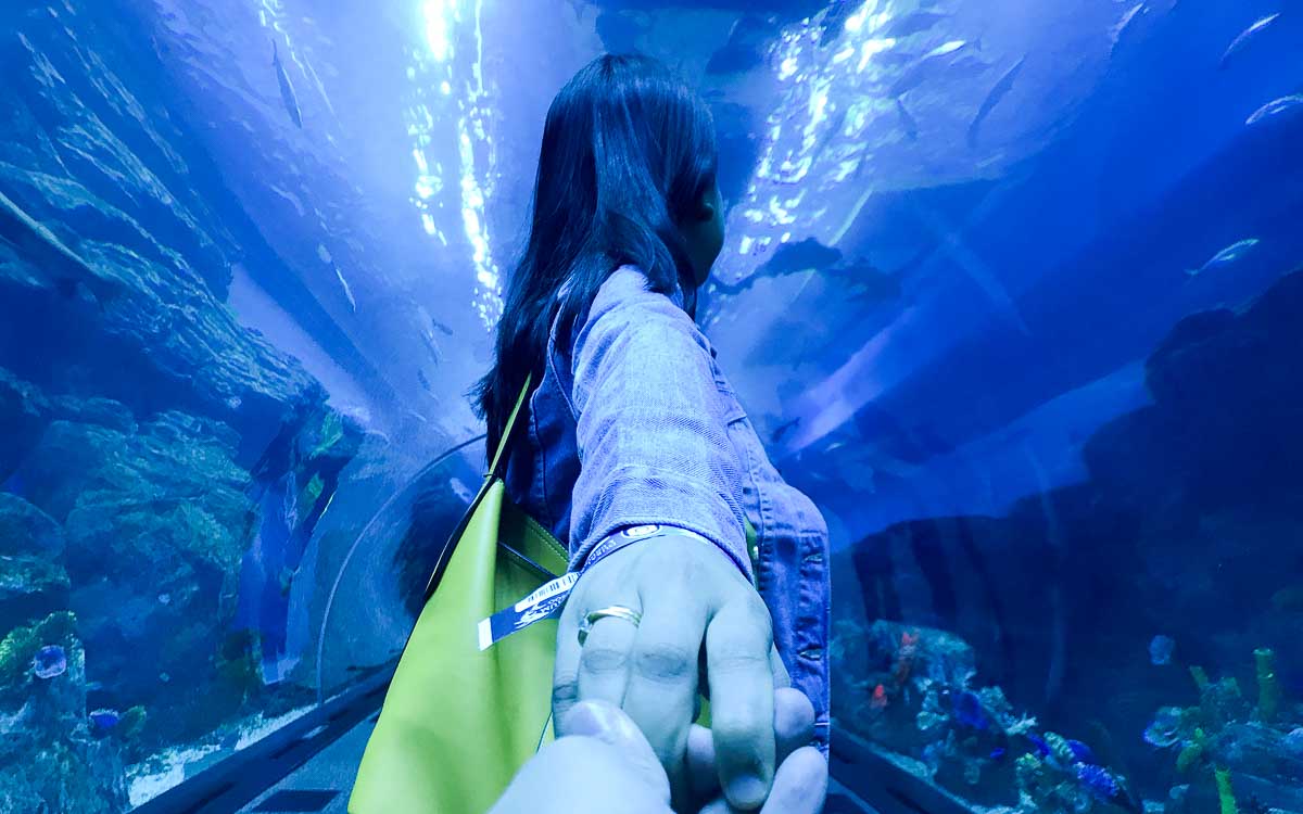 Visitors walking through Dubai Aquarium underwater tunnel with marine creatures overhead